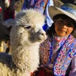 Tour Cañón Del Colca